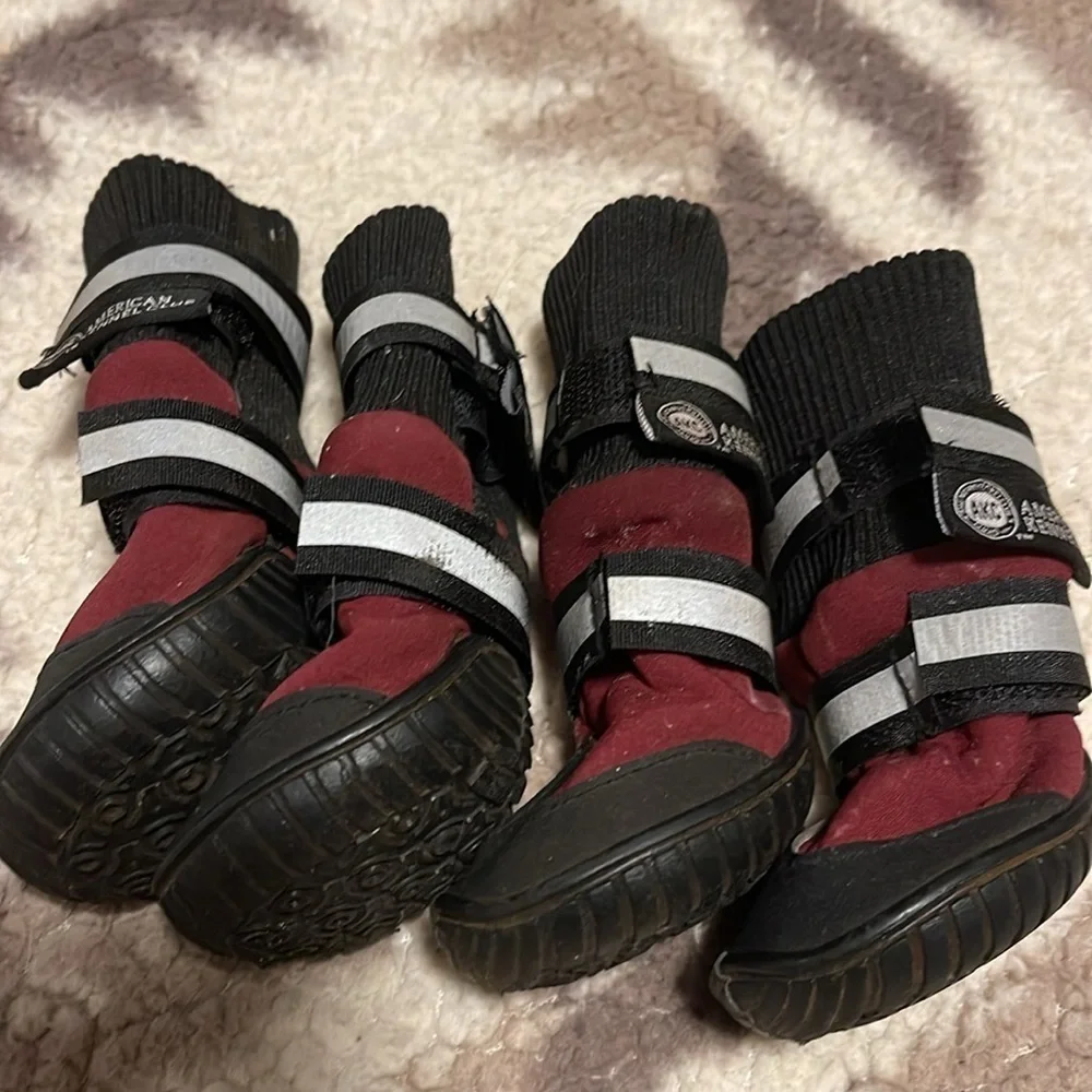 American Kennel Club size small